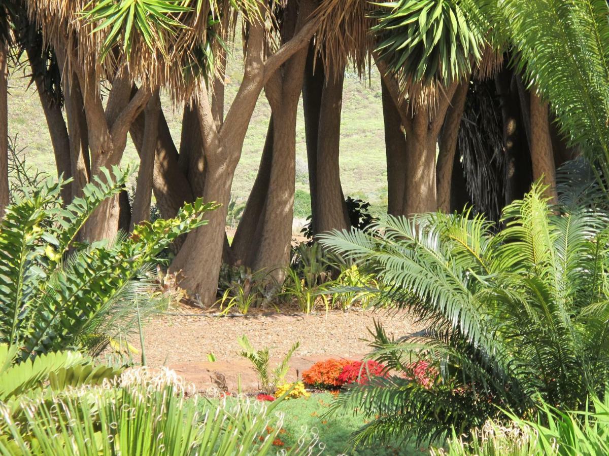 Haciendas Del Valle - Las Kentias Valle de Guerra Luaran gambar