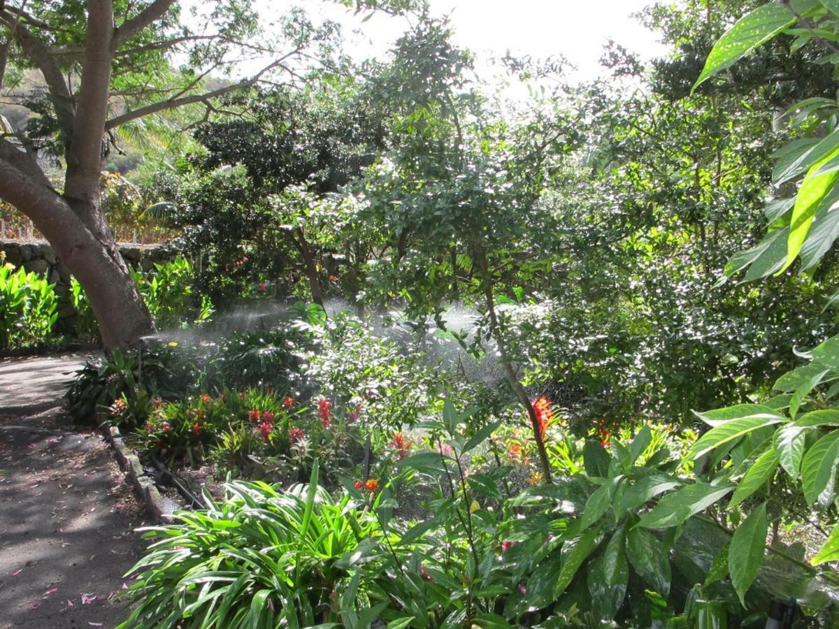 Haciendas Del Valle - Las Kentias Valle de Guerra Luaran gambar